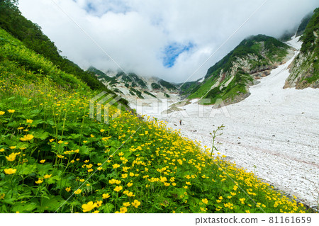 Summer Hakuba Taisetsukei trekking Summer Hakuba Taisetsukei trekking 81161659