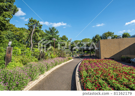 《愛知縣》名古屋市名城公園 《愛知縣》名古屋市名城公園 81162179