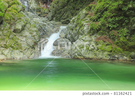 Ogaki Valley Senkabuchi 81162421
