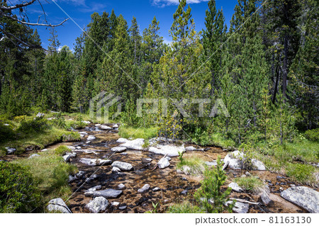Small creek in La Cerdanya, Pyrenees mountain, Catalonia, Spain. Small creek in La Cerdanya, Pyrenees mountain, Catalonia, Spain. 81163130