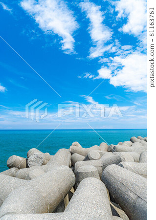 Image of the sea and summer sky [Niigata Prefecture] 81163761