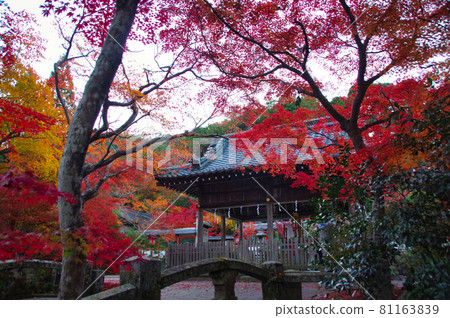黃昏的寶山神社 81163839