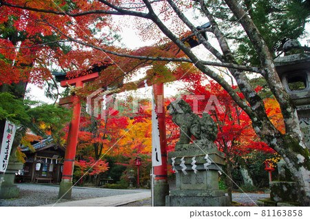 黃昏的寶山神社 黃昏的寶山神社 81163858