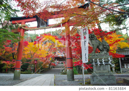 黃昏的寶山神社 81163884
