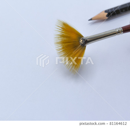 fan-shaped art brush and pencil on a white background, copy space, back to shool fan-shaped art brush and pencil on a white background, copy space, back to shool 81164612