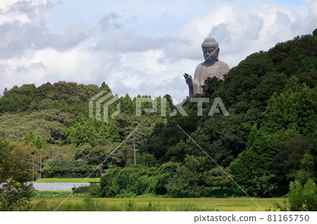 Ushiku大佛 81165750