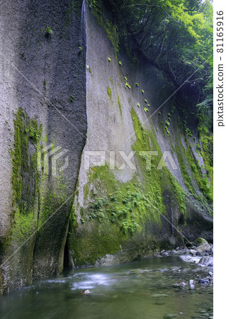 美麗的由布川峽谷稱為東方蒂羅爾（大分縣由布市） 81165916