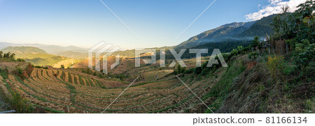 Rice field after harvest, Ban Bong Piang, Chiang Mai, Thailand Rice field after harvest, Ban Bong Piang, Chiang Mai, Thailand 81166134