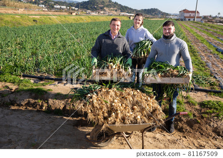 Happy farm family with freshly harvested scallions 81167509