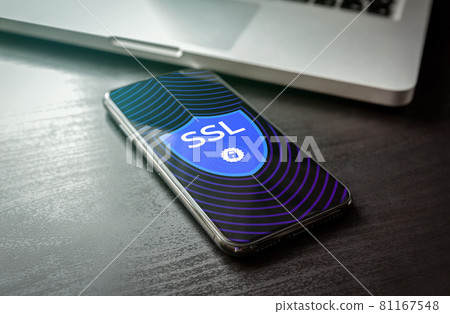 SSL certificate - Secure Sockets Layer icon concept on smartphone screen. Security data technology for encrypted connection between client and server. HTTPS cybersecurity internet computing protocol. 81167548