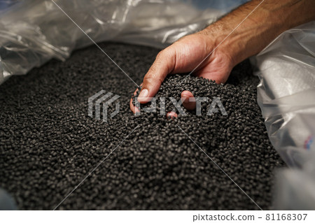 Close up of male hand holding plastic polymer granules 81168307