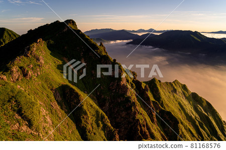 谷川岳隱岐的耳朵染上了日出,雲海 谷川岳隱岐的耳朵染上了日出,雲海 81168576