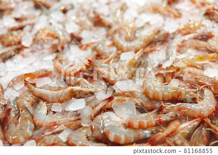 Fresh raw shrimps close up lying on ice in supermarket 81168855