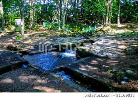 One third spring One third spring 81169033