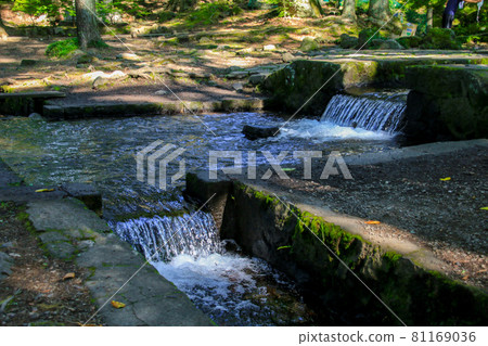 One third spring 81169036