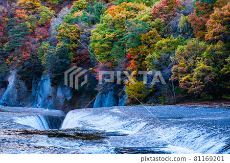 Fukiwaki Falls (Autumn) 81169201