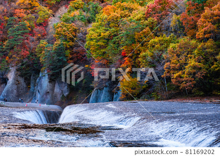 Fukiwaki瀑布（秋天） 81169202