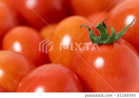 Mini tomato vegetables ingredients Mini tomato vegetables ingredients 81169393