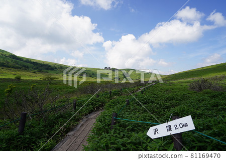 Kirigamine: A mountain trail from Kurumayama Norietsu to Chocho Miyama, near Kurumayama Marsh, a branch sign to Sawatari 81169470