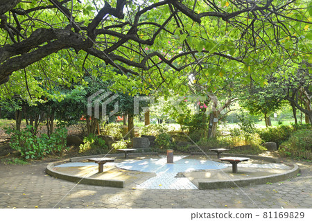 東京都目黑區青葉台西鄉山公園 81169829