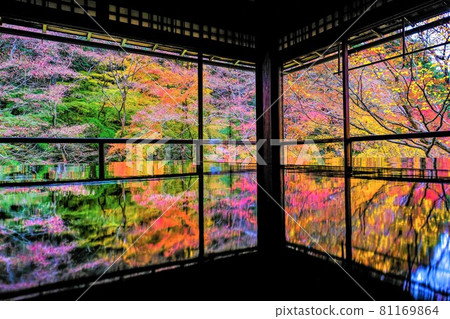 Kyoto Rurikoin Autumn Leaves 81169864