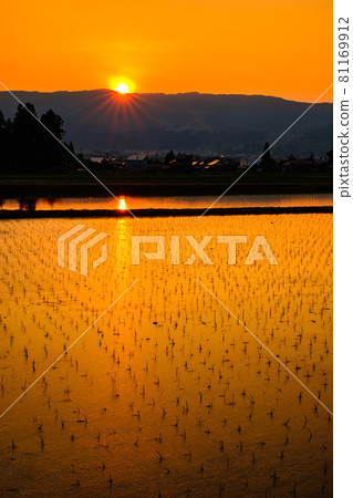 初夏的田園風光(黃昏) 初夏的田園風光(黃昏) 81169912