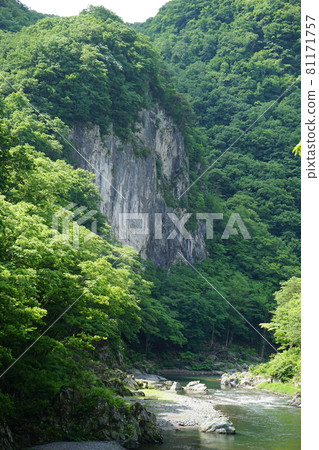 Nature of Iwaizumi Omoto River Nature of Iwaizumi Omoto River 81171757