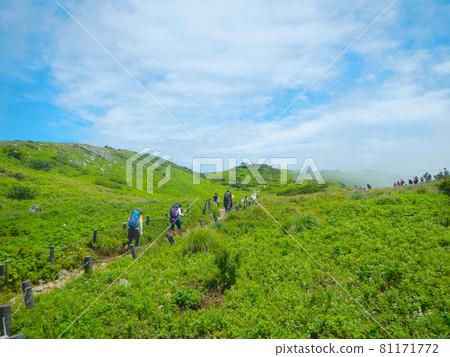 Climb path of Ibukiyama Climb path of Ibukiyama 81171772