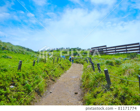 Climb path of Ibukiyama 81171774