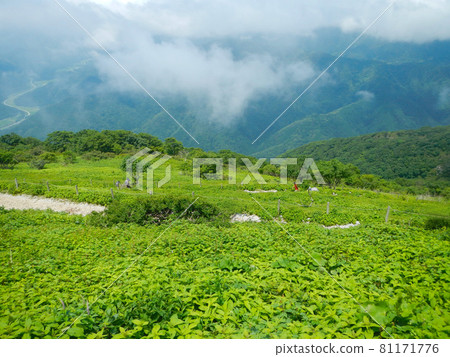 View from Mt. Ibuki mountain trail 81171776