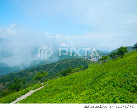 View from Mt. Ibuki mountain trail 81171778