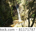 Saitama Ogose Waterfall 81171787