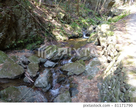 Saitama Ogose Saitama Ogose 81171790