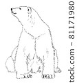 Polar bear sitting and smiling 81171980