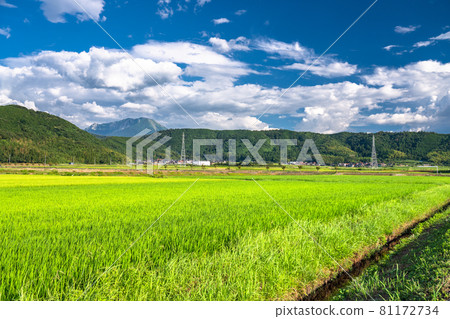 《Tottori Prefecture》 Rural scenery and summer sky / idyllic countryside scenery 81172734