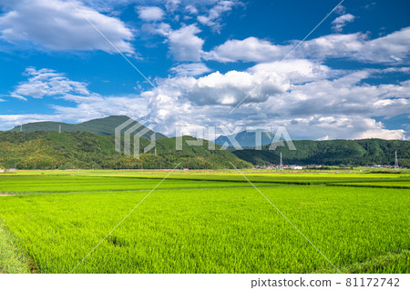 《Tottori Prefecture》 Rural scenery and summer sky / idyllic countryside scenery 《Tottori Prefecture》 Rural scenery and summer sky / idyllic countryside scenery 81172742