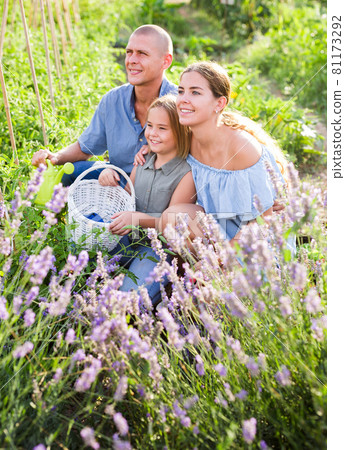 Portrait of happy family Portrait of happy family 81173292