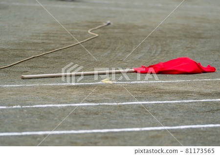 Red group flag 81173565