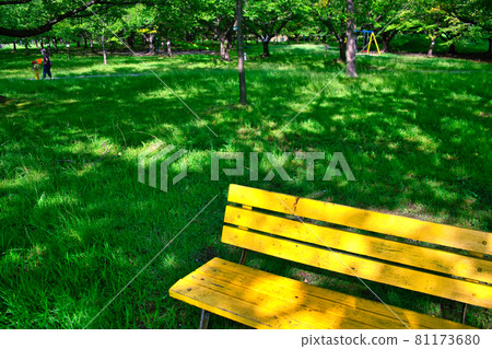 Park bench 81173680
