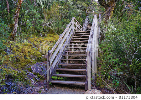New Zealand Devil's Punch Bowl Waterfall 81173804