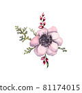 watercolor illustration of a small bouquet of anemone flowers isolated on white 81174015