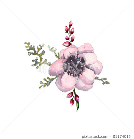 watercolor illustration of a small bouquet of anemone flowers isolated on white 81174015