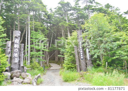 Shirakoma pond entrance Shirakoma pond entrance 81177871