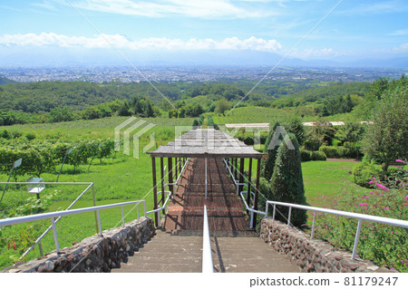 Tomi no Oka Winery葡萄園 81179247