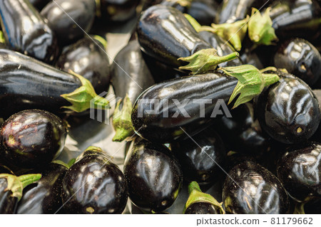 Pile of eggplant for sale on counter in supermarket Pile of eggplant for sale on counter in supermarket 81179662