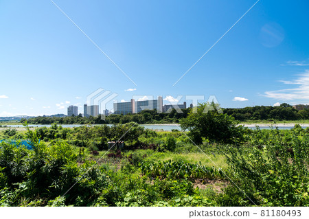從多摩川調布市一側的河床看川崎夏季藍天調布市，東京 81180493