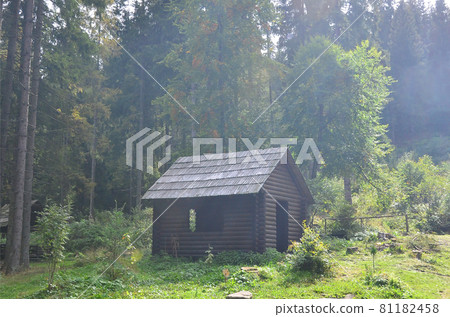 Small natural house, which is built of wood. The building is located in the forest Small natural house, which is built of wood. The building is located in the forest 81182458