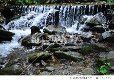 Close-up image of a small wild waterfall in the form of short streams of water between mountain stones Close-up image of a small wild waterfall in the form of short streams of water between mountain stones 81182550