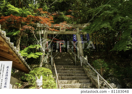Saijo Inari, Seventy-seven Ends Company, Okayama City, Okayama Prefecture Saijo Inari, Seventy-seven Ends Company, Okayama City, Okayama Prefecture 81183048