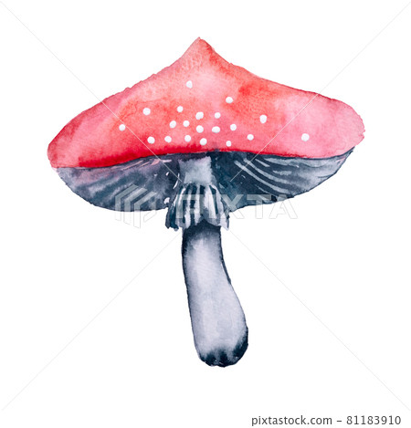Red Watercolor mushrooms with white dots. Amanita Fly agaric mushroom isolated on white Red Watercolor mushrooms with white dots. Amanita Fly agaric mushroom isolated on white 81183910